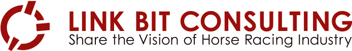 LINK BIT CONSULTING